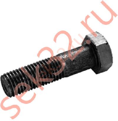 Болт М 20х150 Болт М 20х150